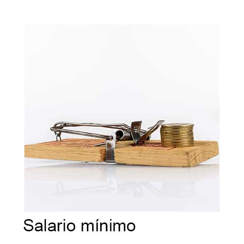 P Salaro