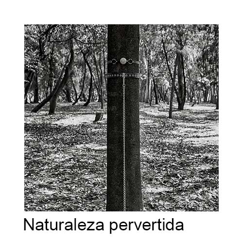P naturaleza